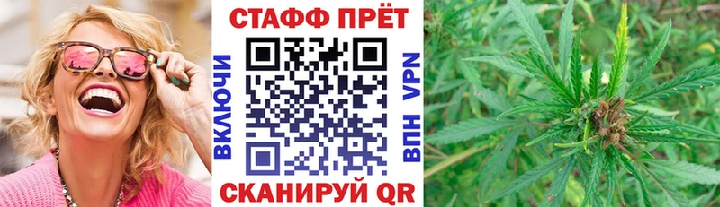 Где продают наркотики Курчалой Вейп ТГК  ГАШИШ  Бошки Шишки  Кокаин  A-PVP 