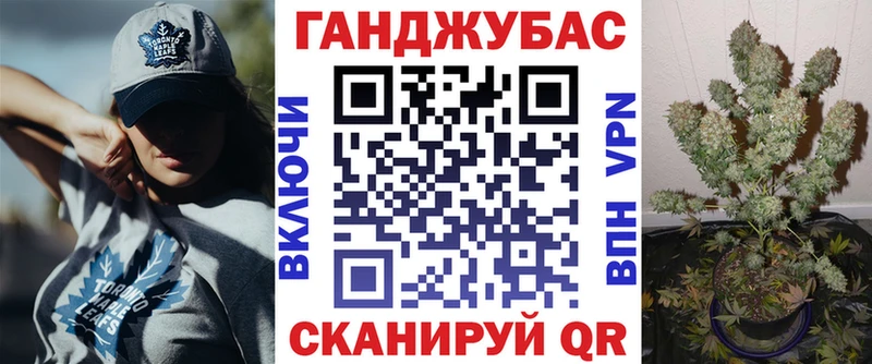 Каннабис гибрид  Курчалой 